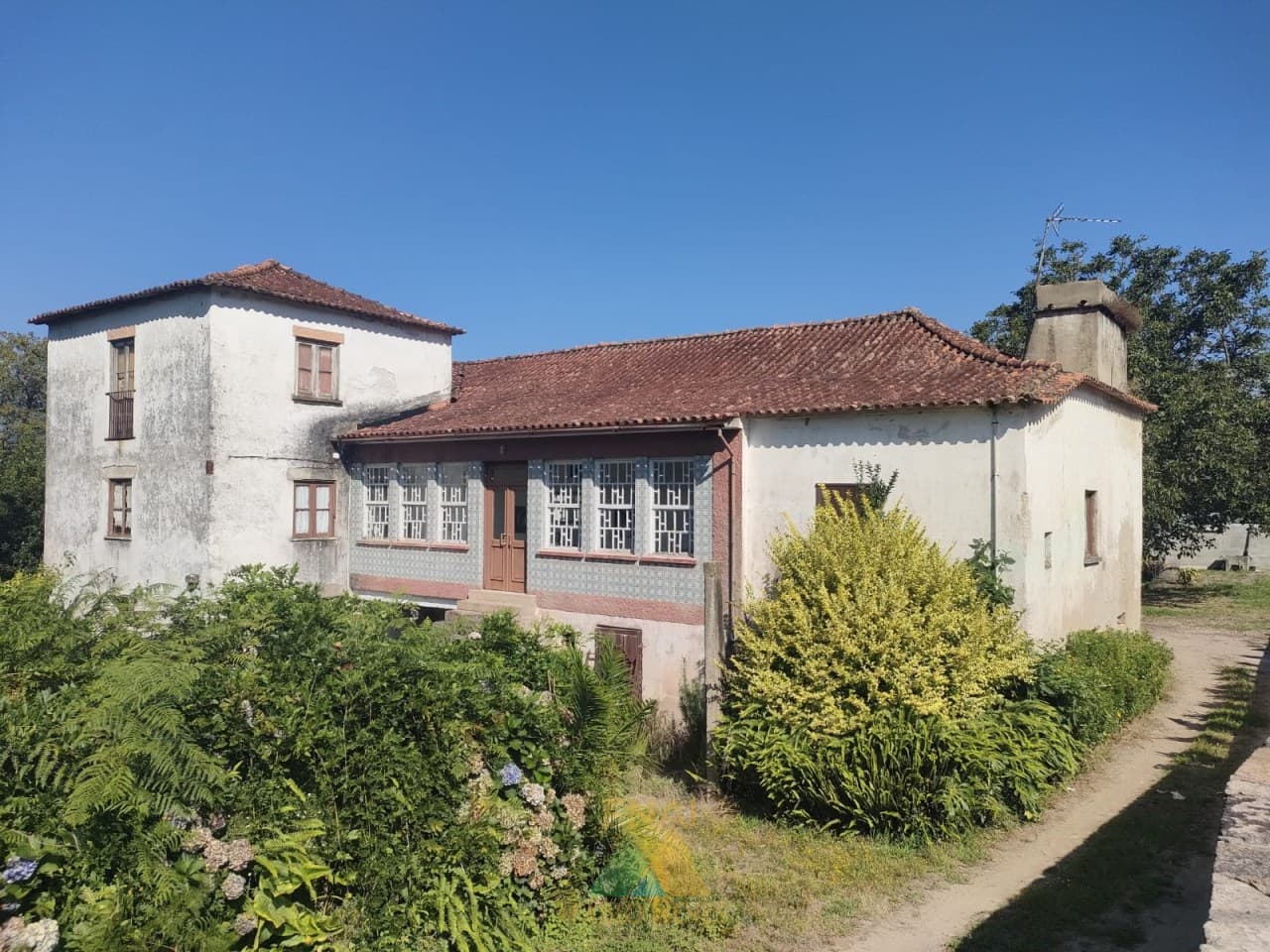 Quinta