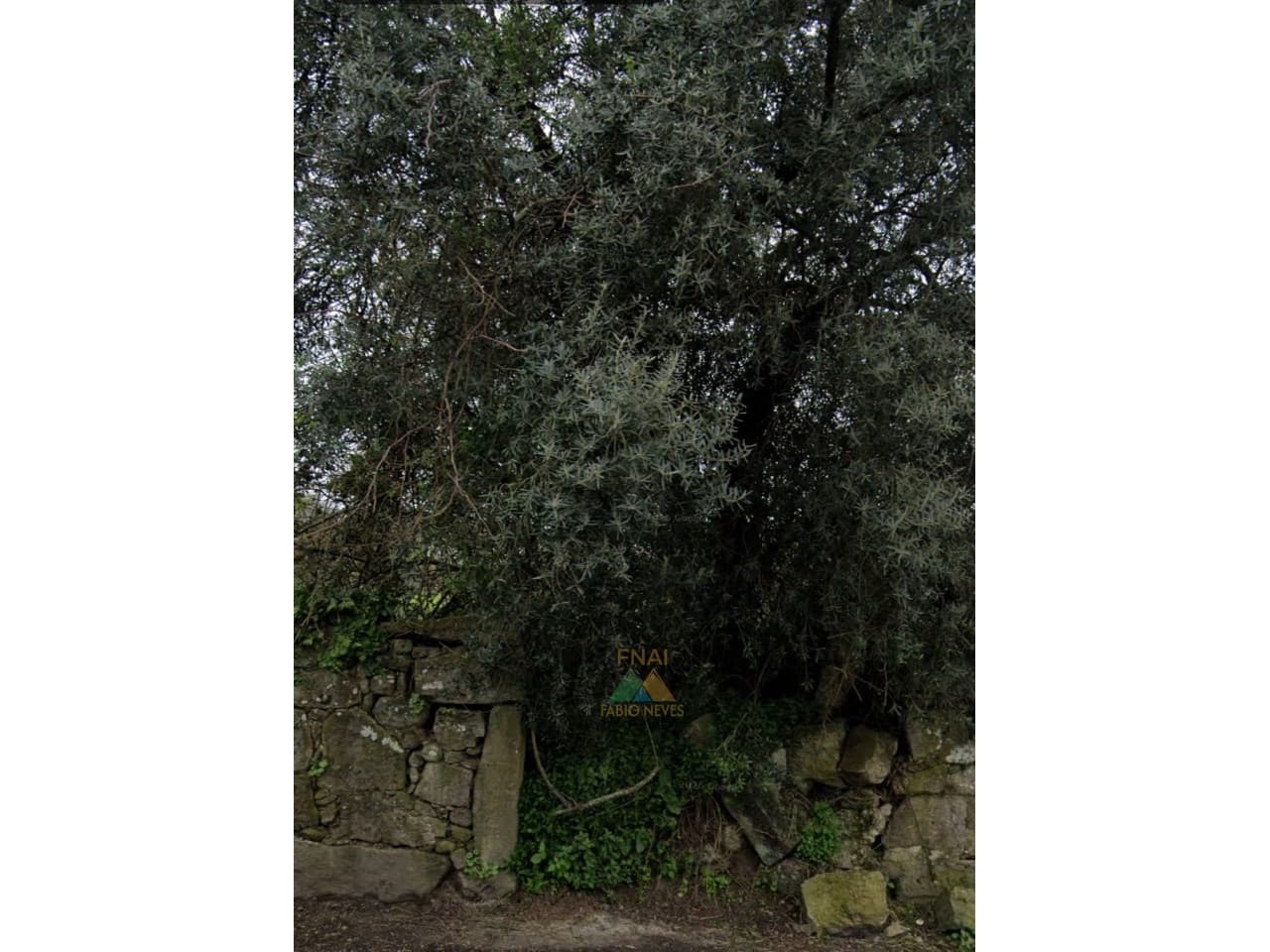 Building plot