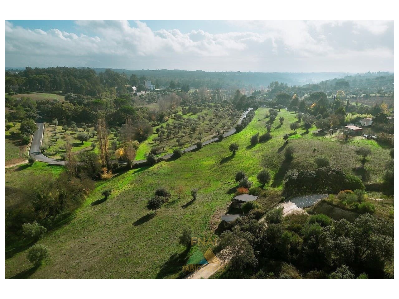 PREMIUM INVESTMENT ESTATE IN TORRES NOVAS