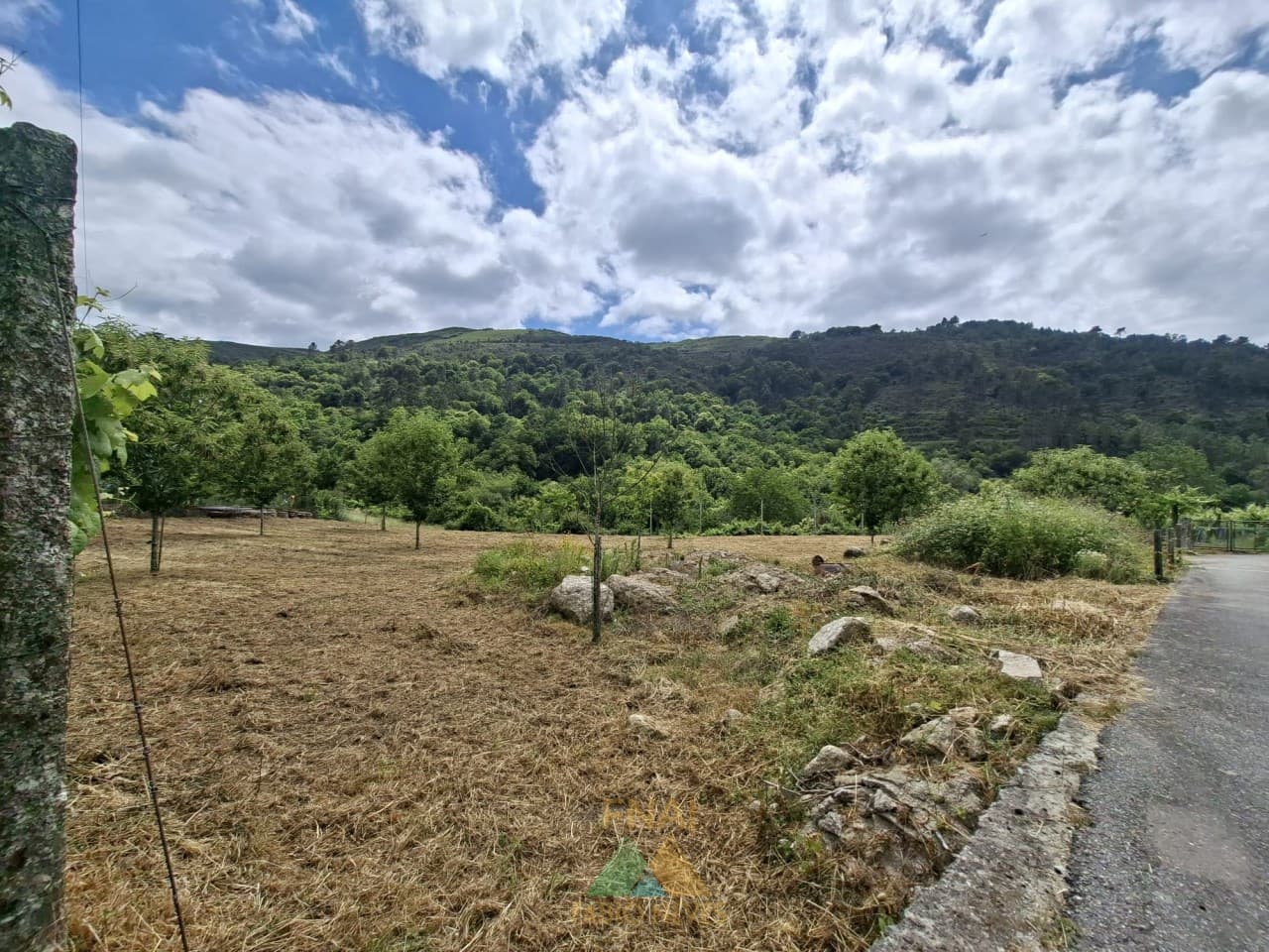 Building Plot