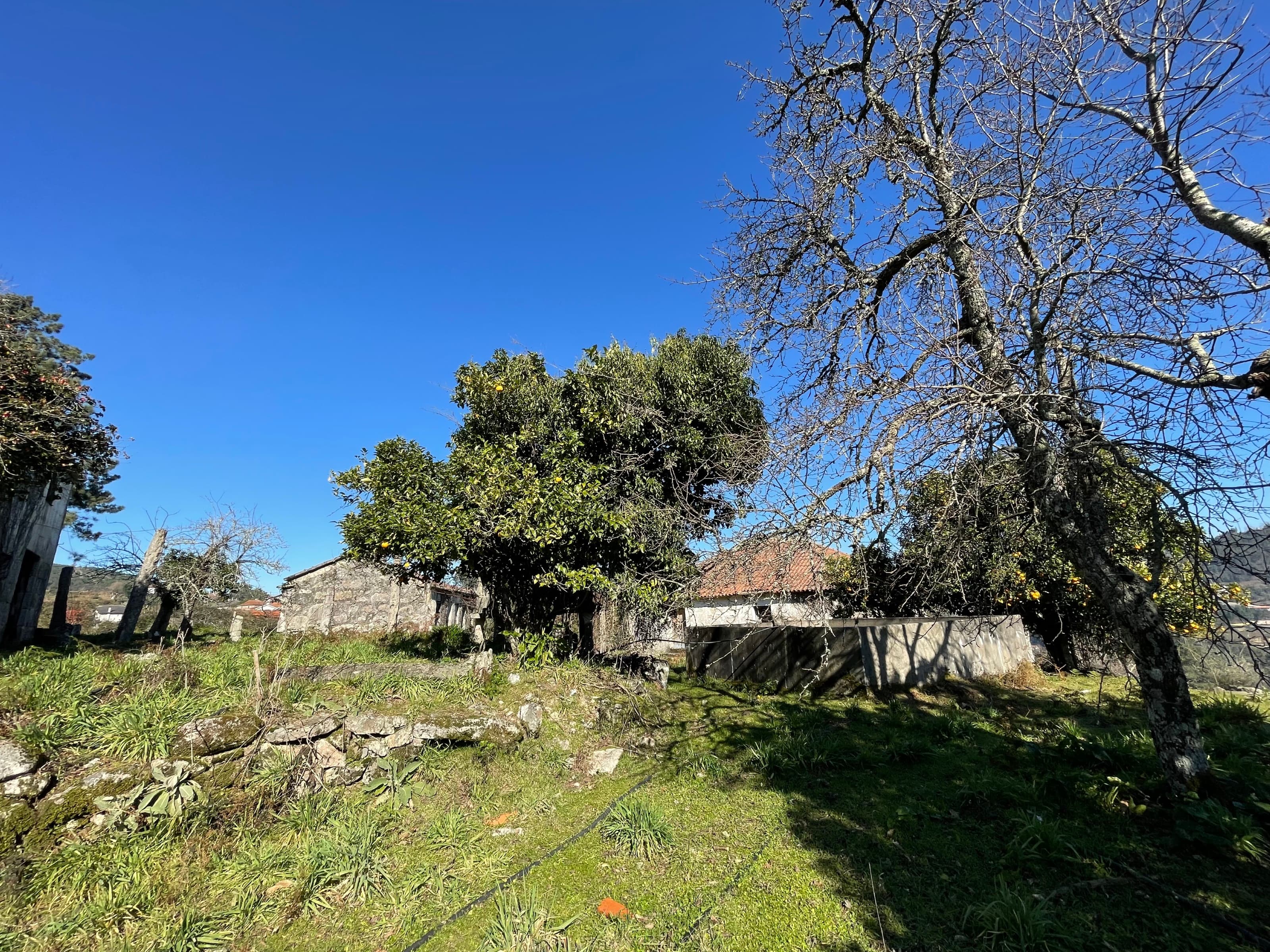 Farm/Community with 3 Houses in Merufe, Monção