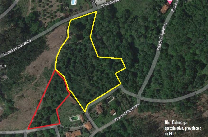 Land in Ribeira with 1.46 Hectares