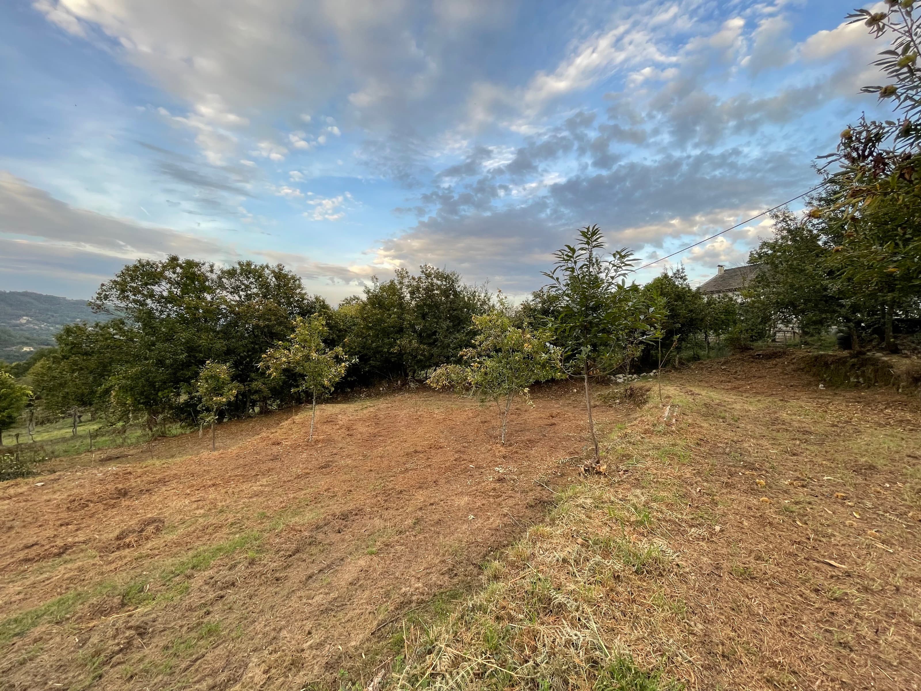 Land for Construction in Grovelas, Ponte da Barca