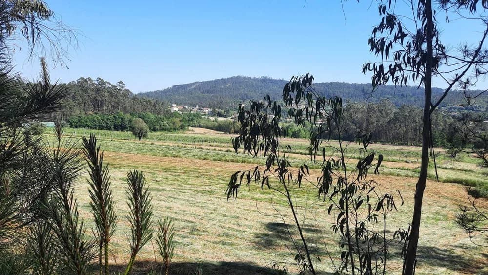 Land 3283m² with Approved PIP
