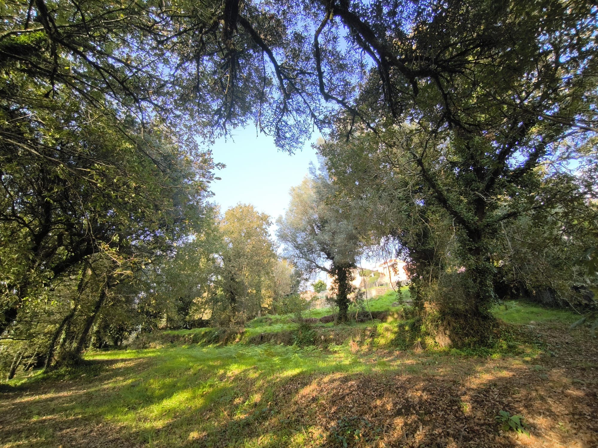 Land for construction