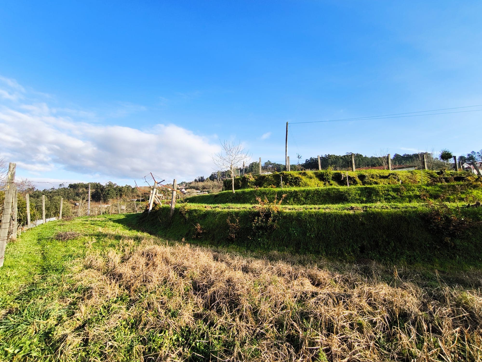 Land in Construction Zone