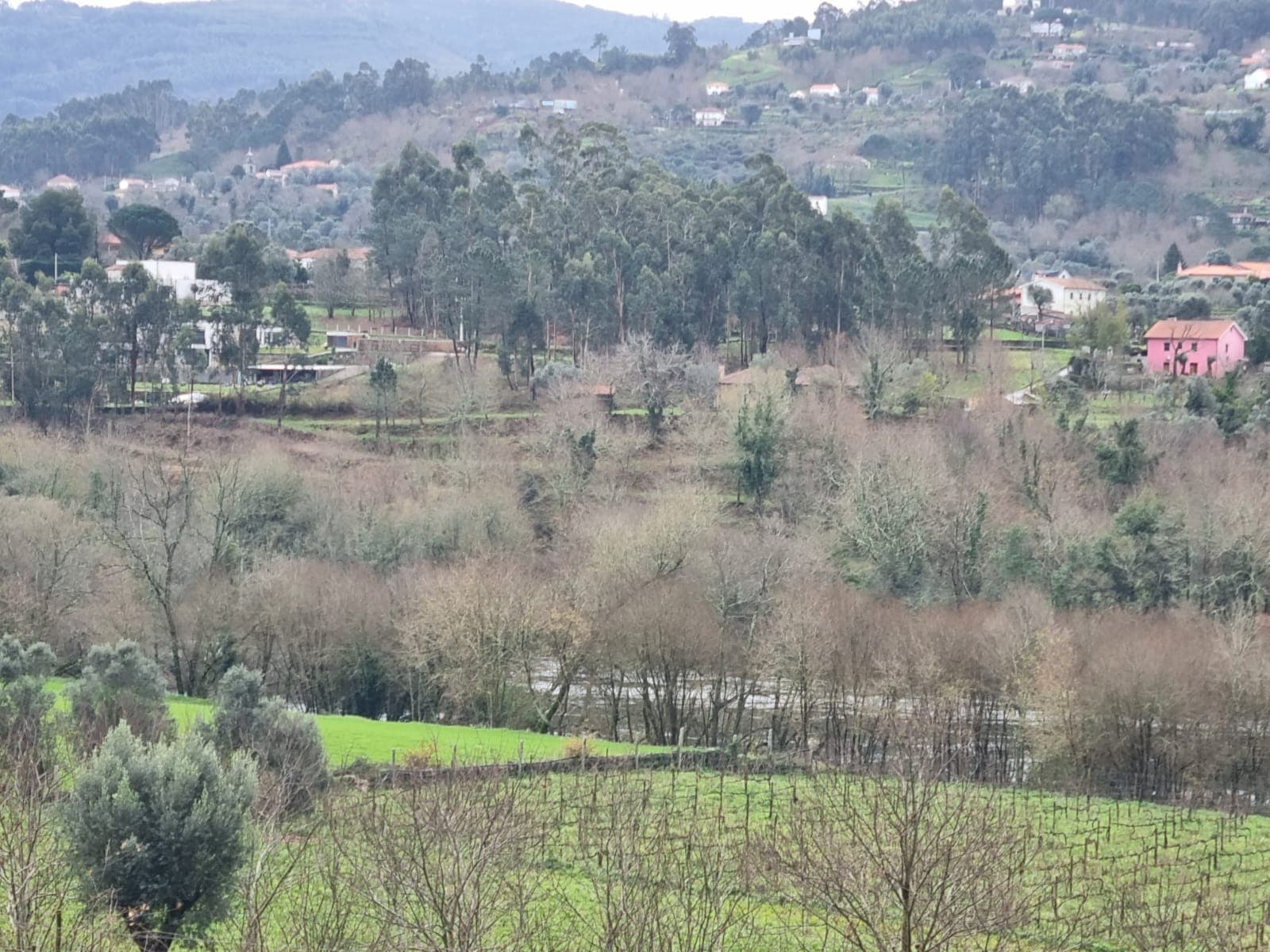 Land for construction in Refoios de Lima with access to the Lima River.