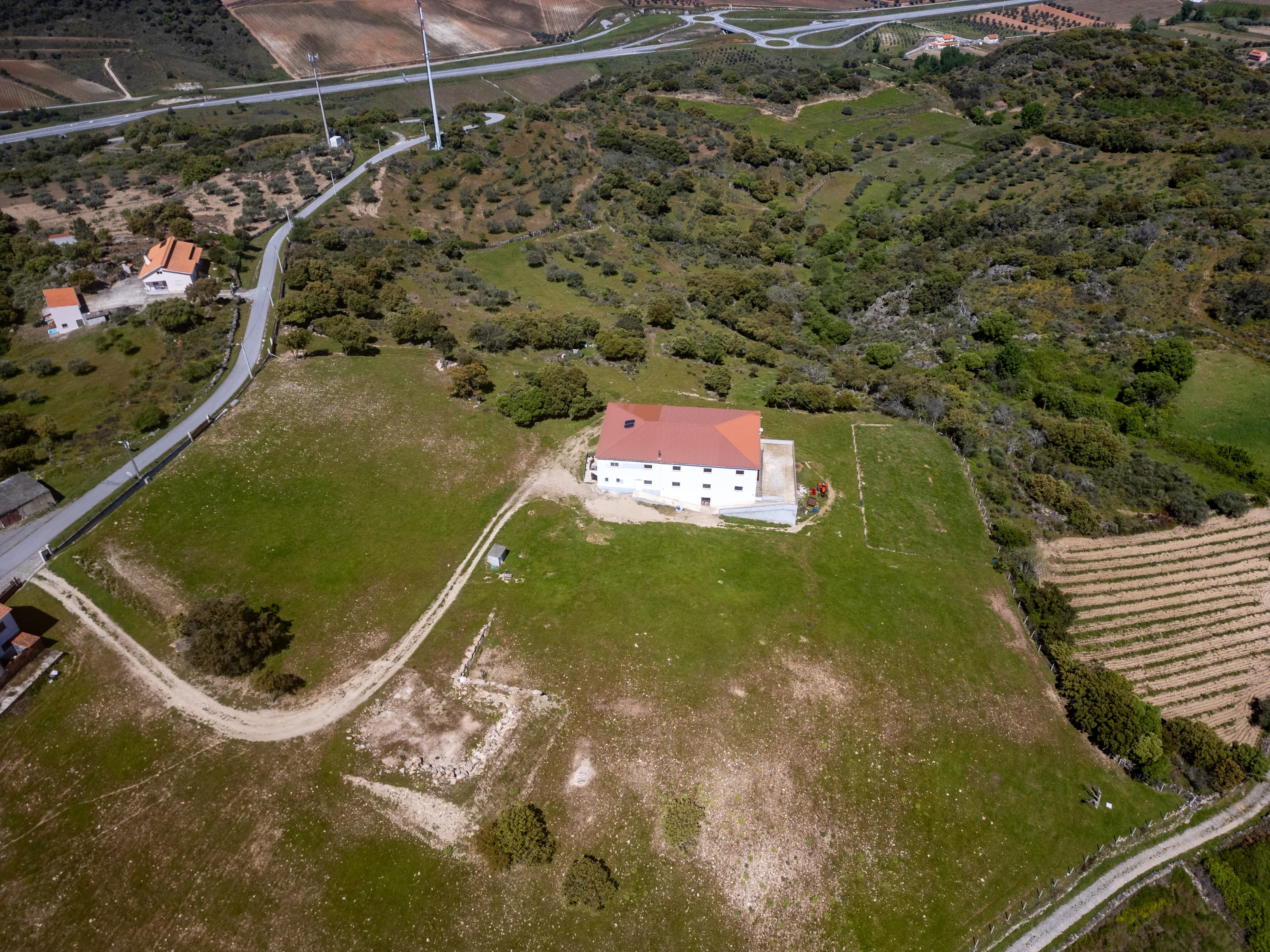 Farm T10 & cheese factory, land 65,000m2, Douro Wine Region