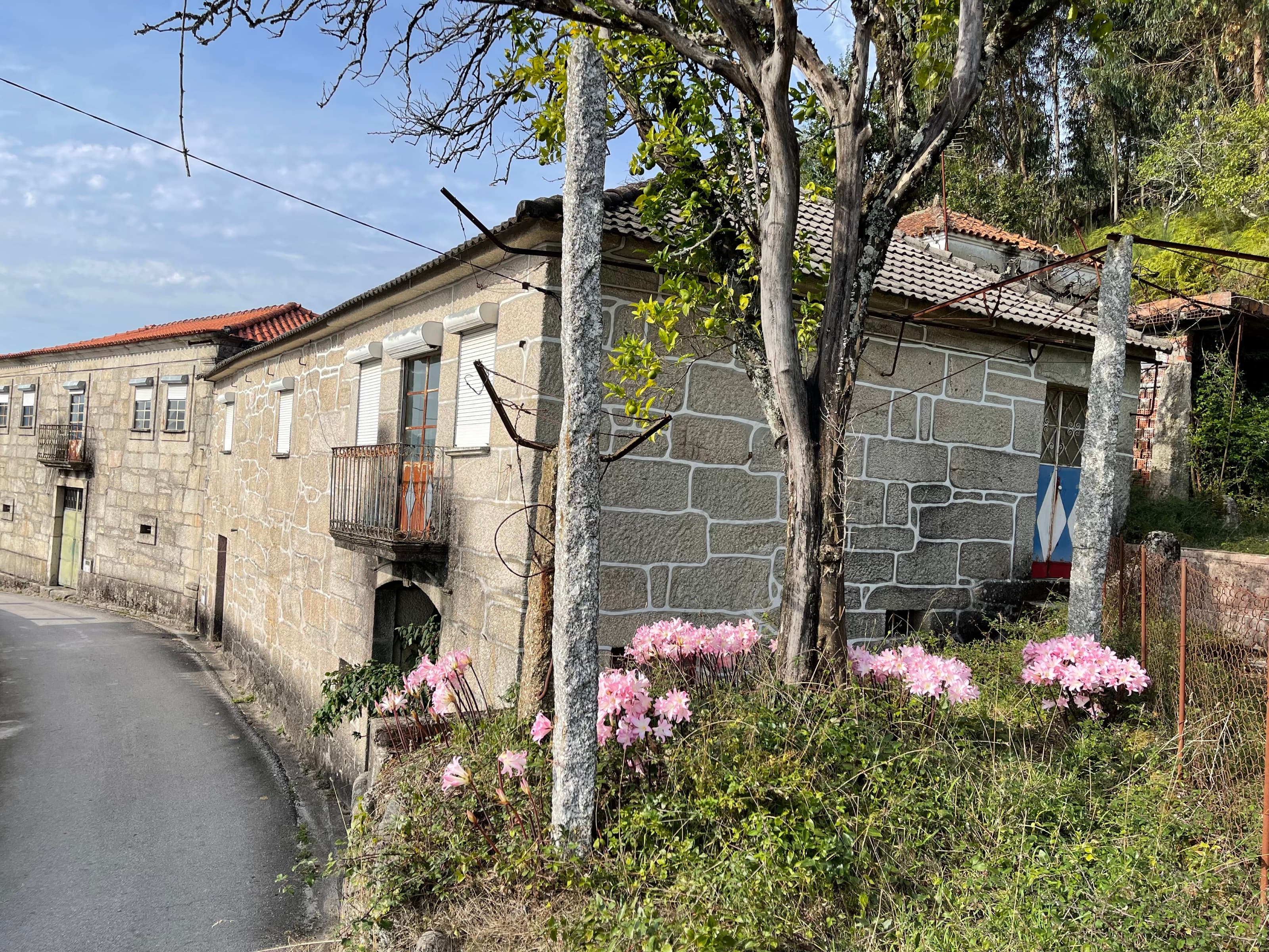 4-Bedroom House to Renovate with Large Garden