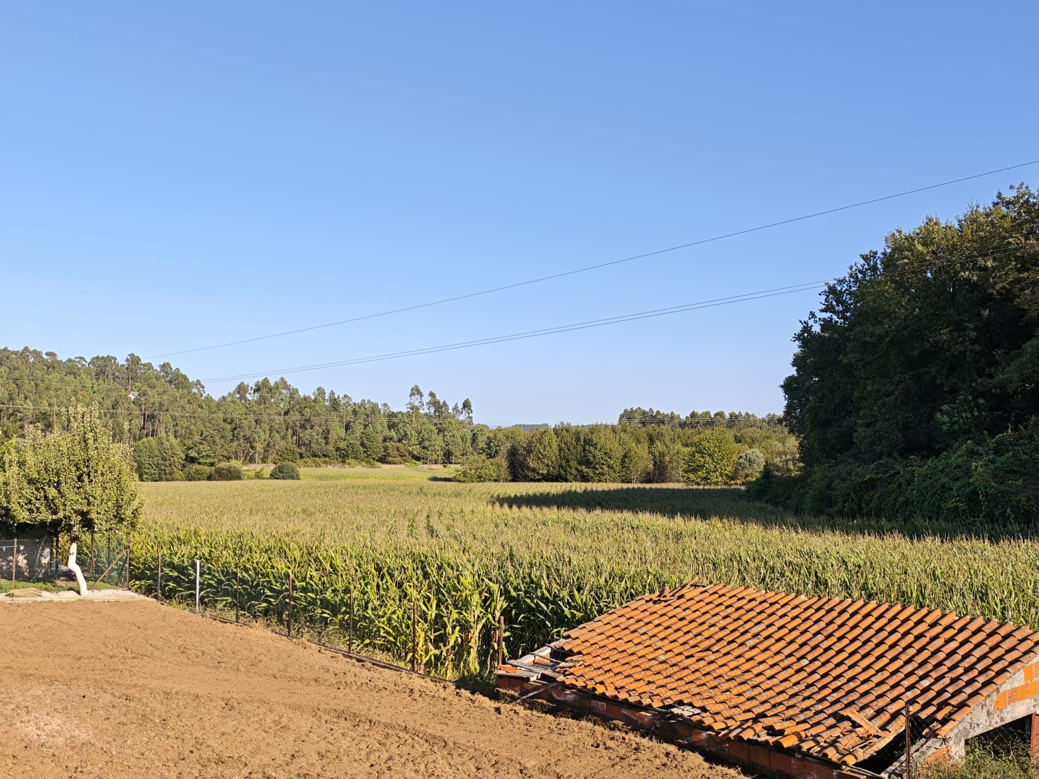 Agricultural land with various possibilities