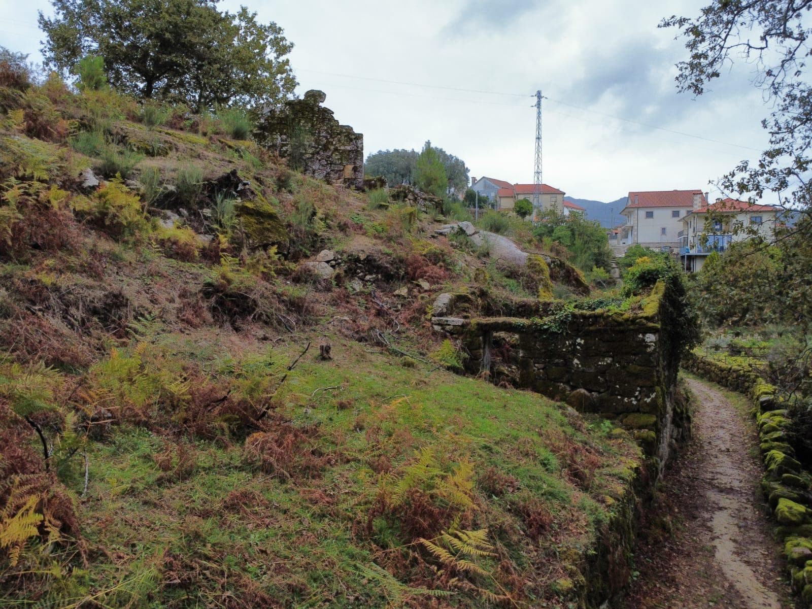 Property with 3 ruins