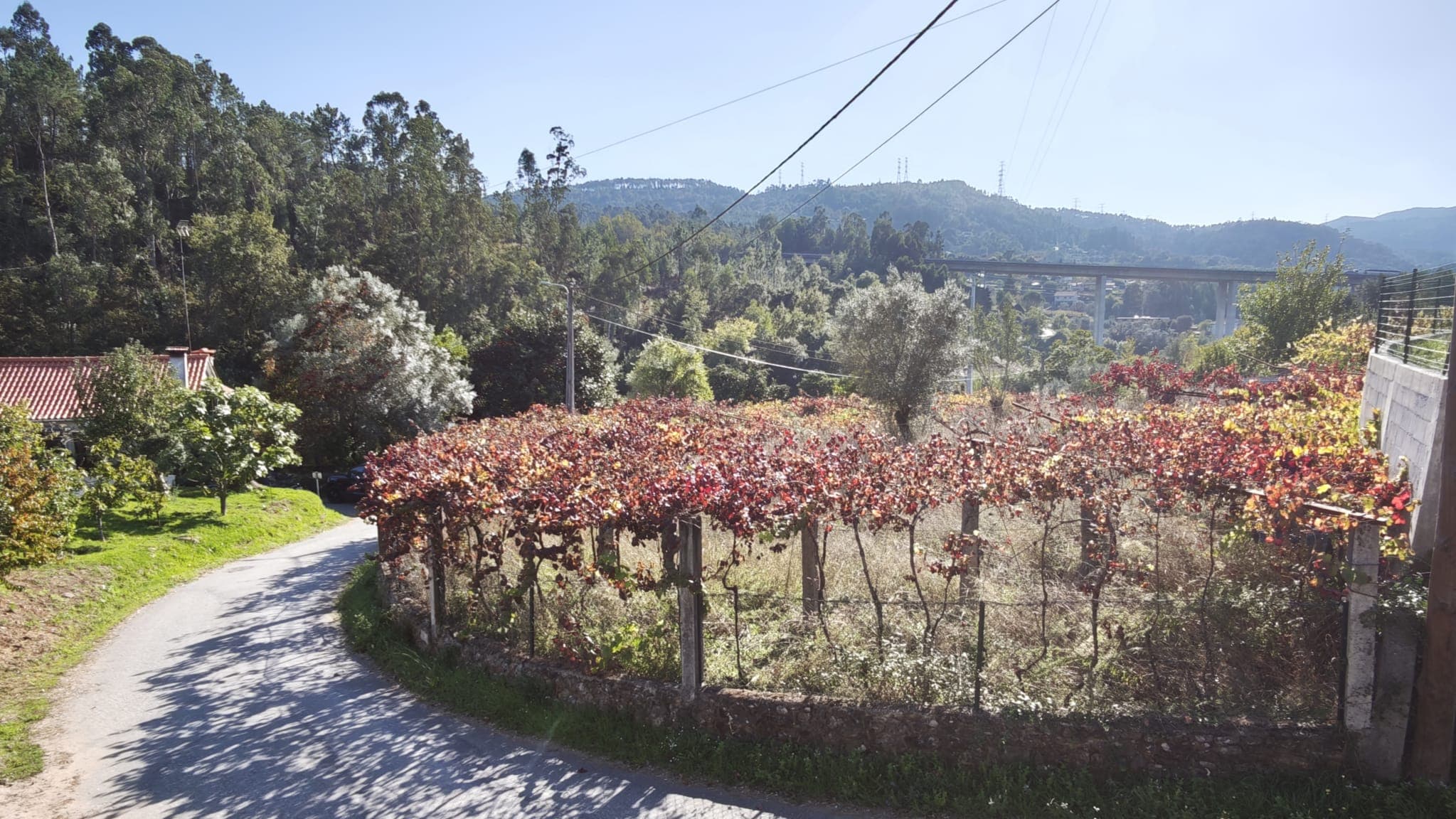 Land with approved project, T3 house