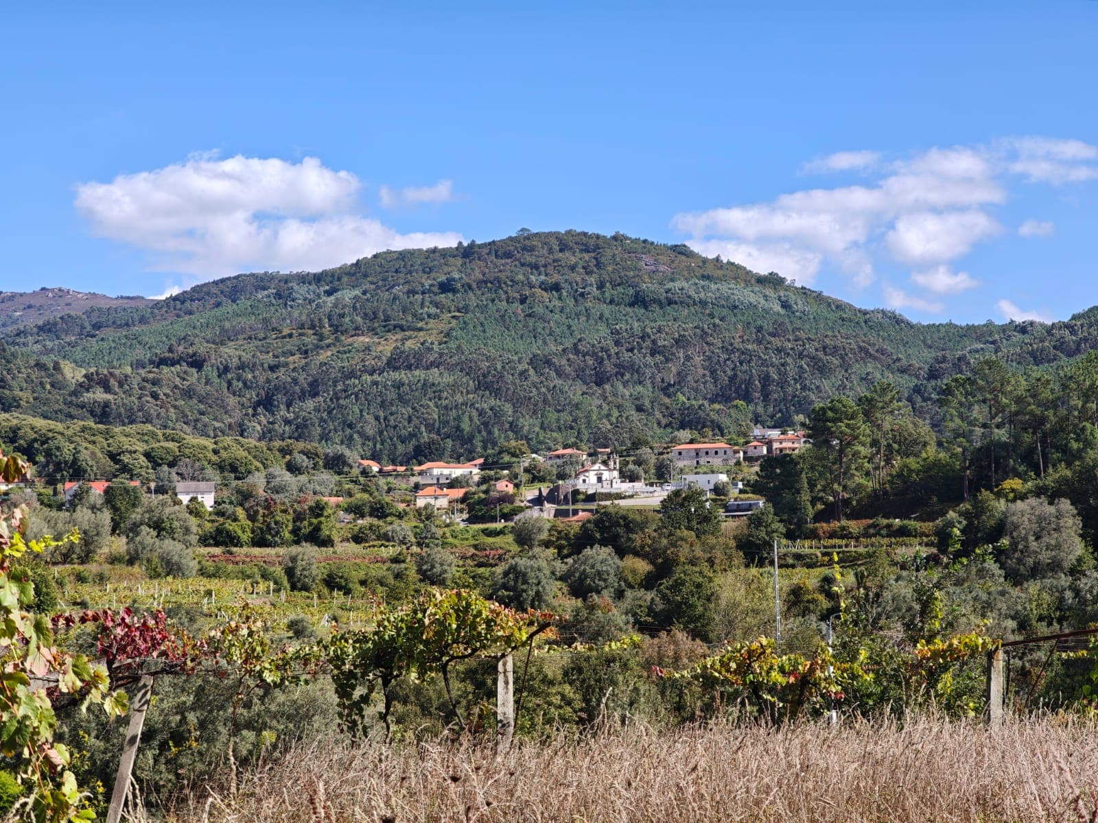 New construction T3 or T4 in Labruja