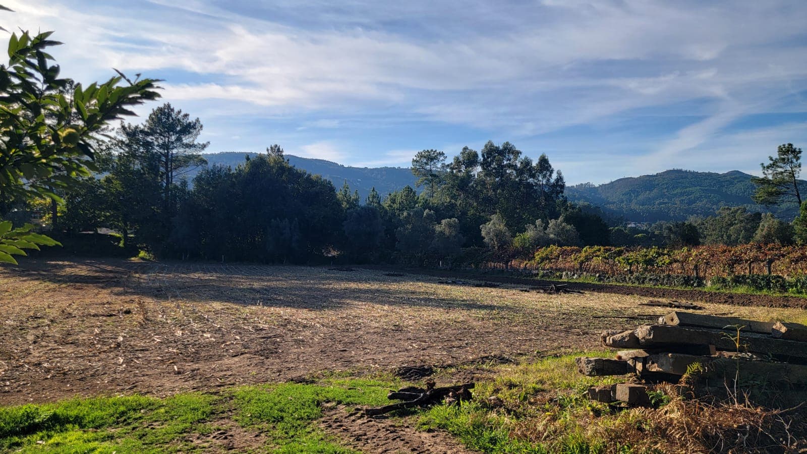 Construction land
