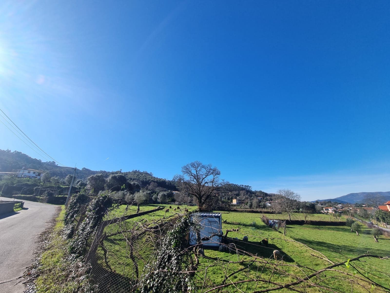 Quinta do Carvalhal