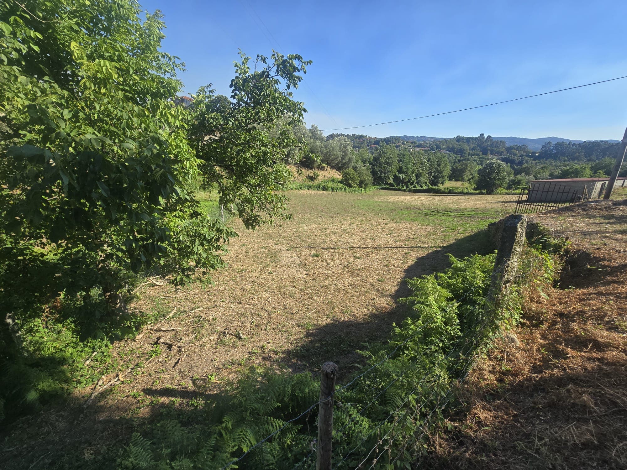 Souto Land