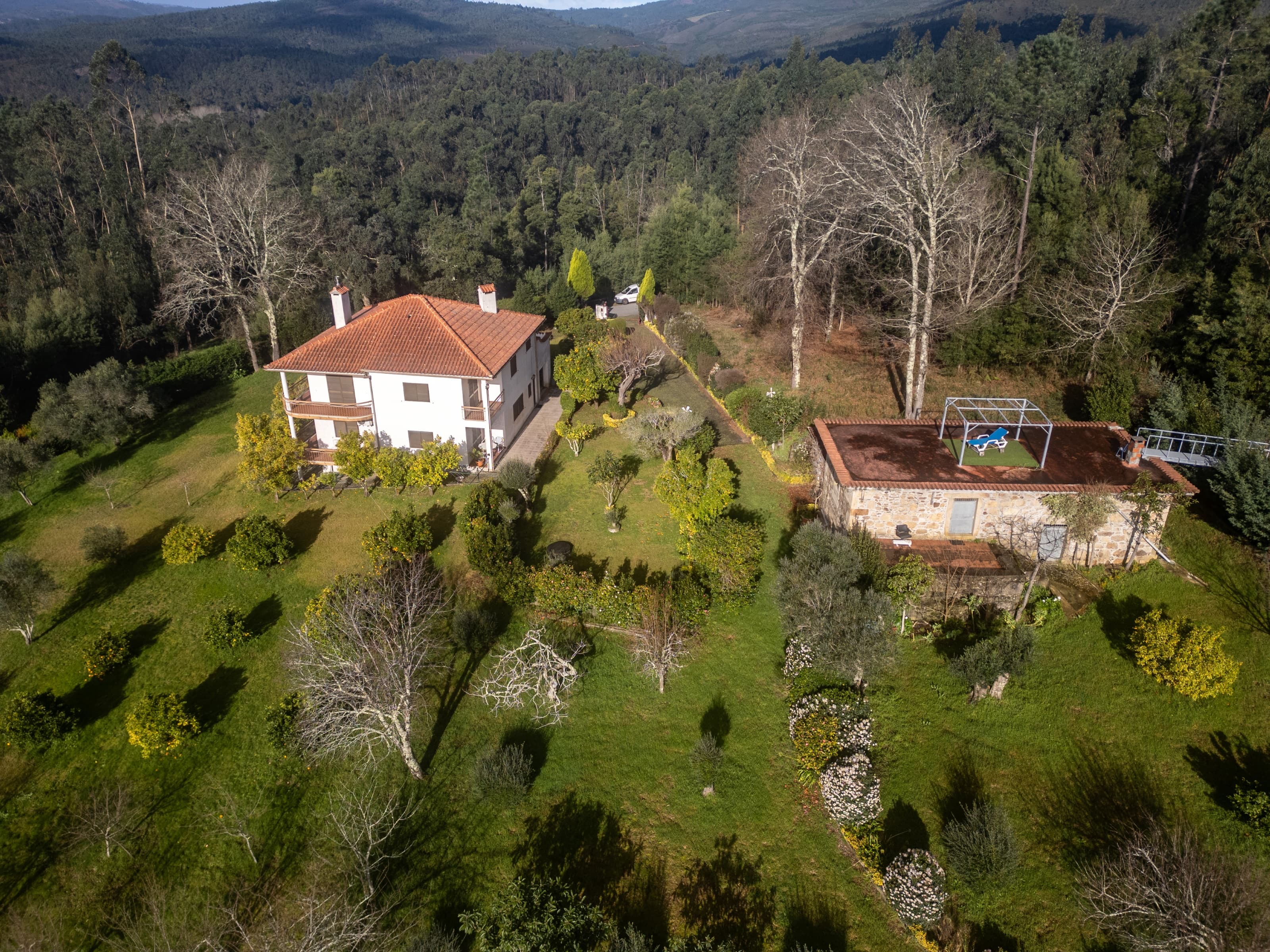 Small Farm with V4+1 House and Old House