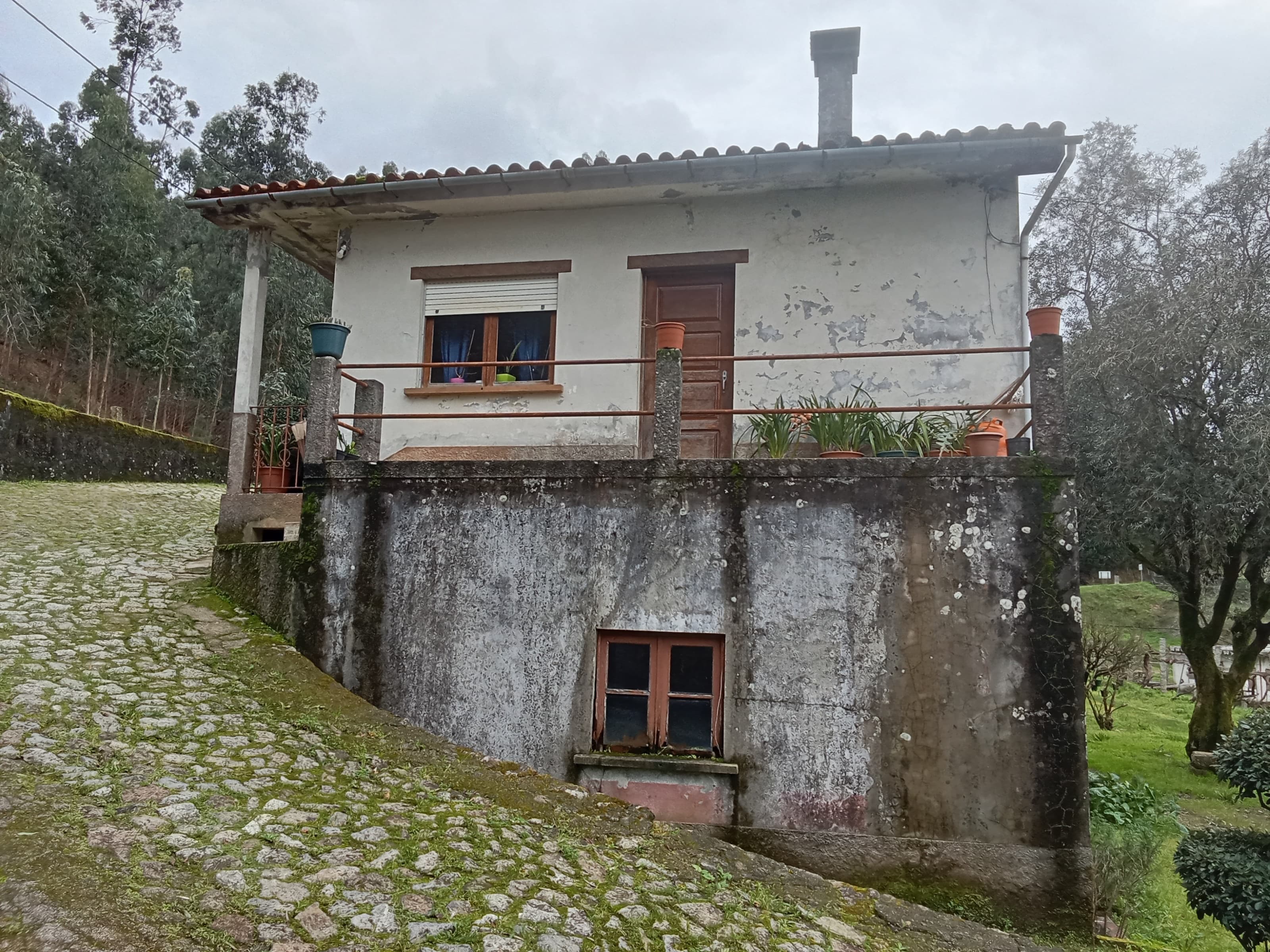 Farm with 1 hectare in Fontoura near the Camino de Santiago