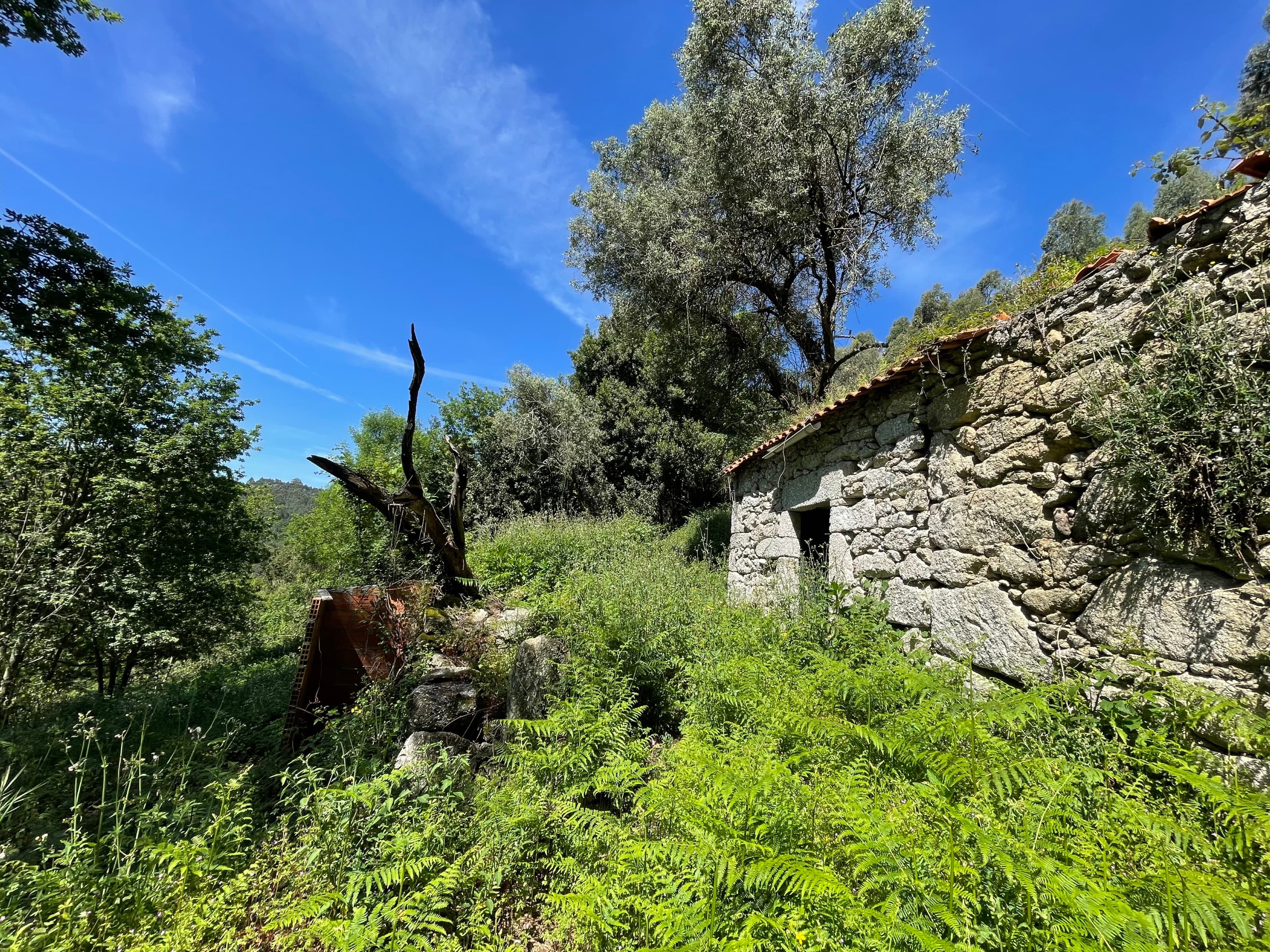 Land with Stone Ruin in Cendufe, Arcos de Valdevez