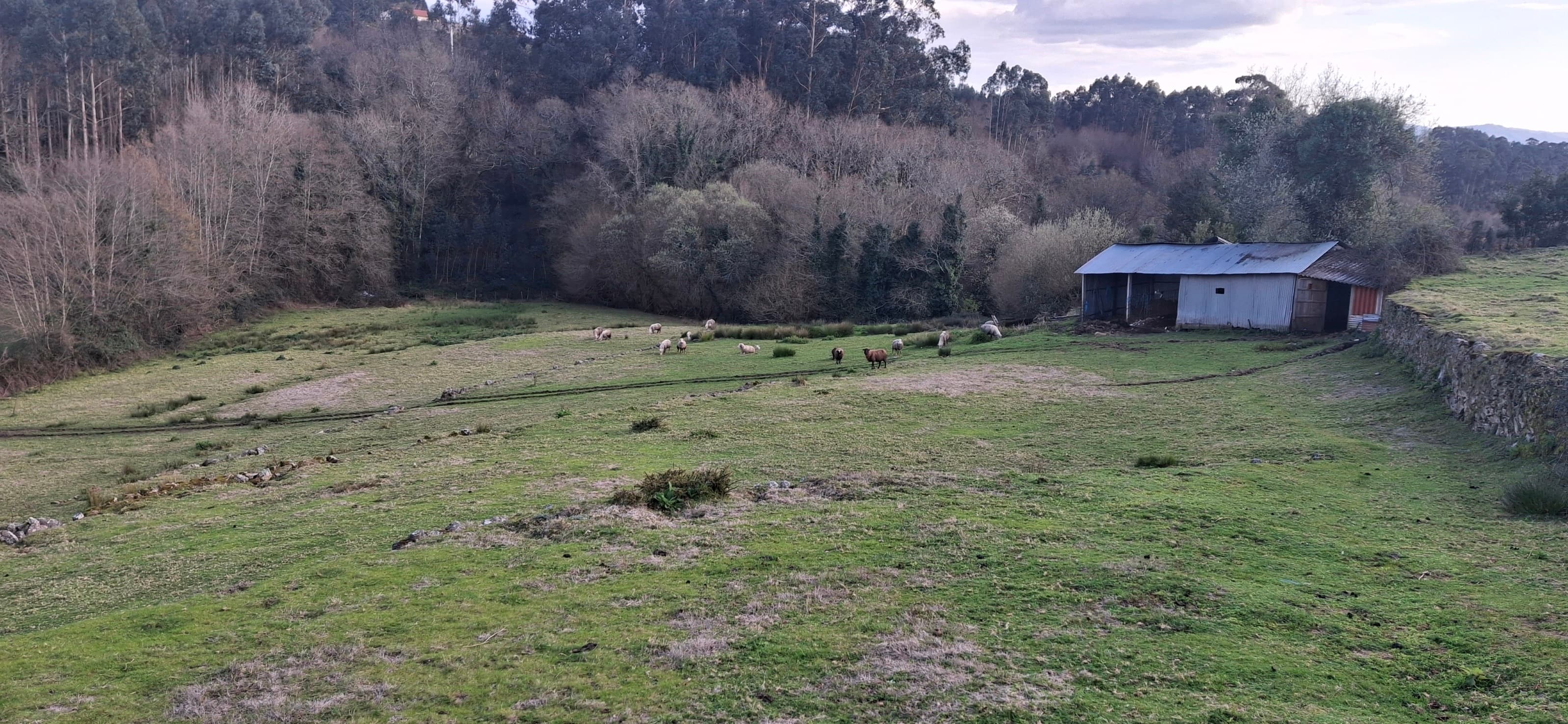 Terreno com 11000m2 na Miranda
