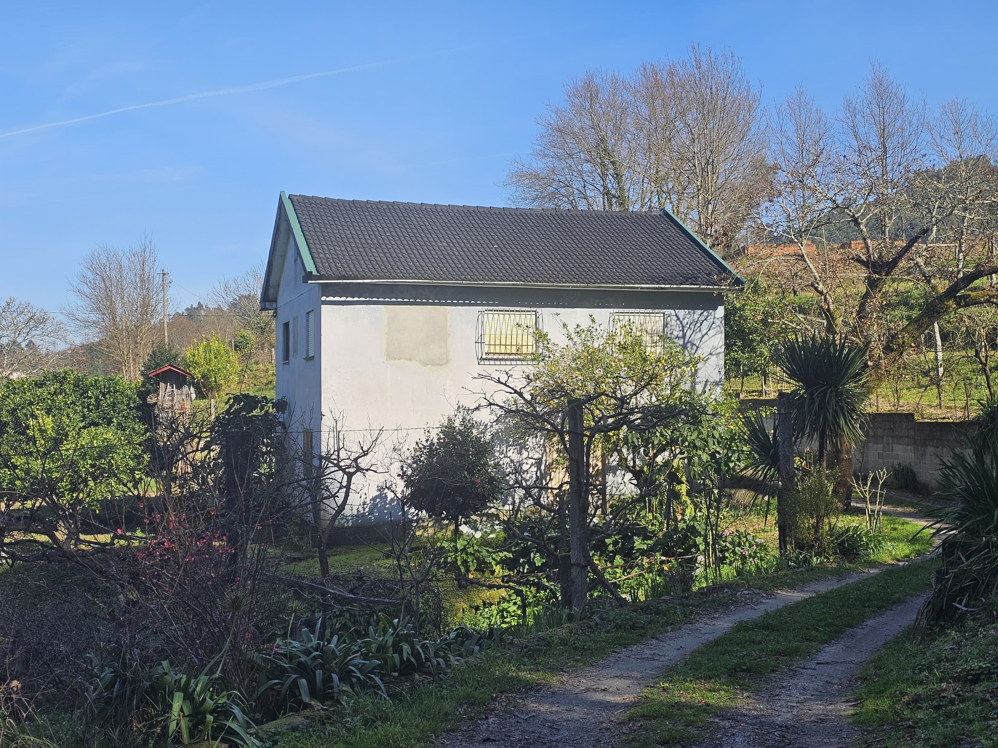 Farm 10 min from Ponte de Lima with orchard and vineyard